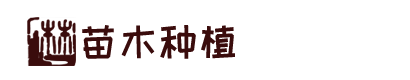 新宝3登陆v5.54.52(官方)最新下载IOS/安卓版/手机版APP